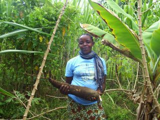 Femmes et culture traditionnelle