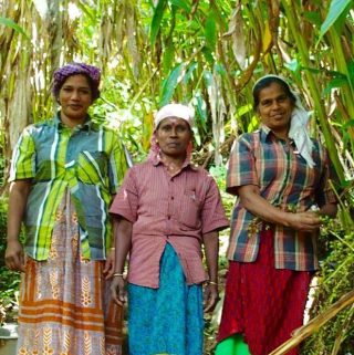 Carnet de voyage en Inde