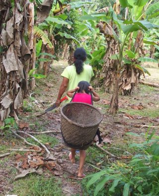 Une rencontre très piquante en Amazonie équatorienne !