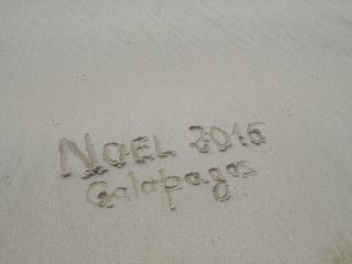 Noël aux îles Galapagos en solo, c’est possible !