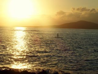 Dernière étape aux Galapagos sur l’île d’Isabela