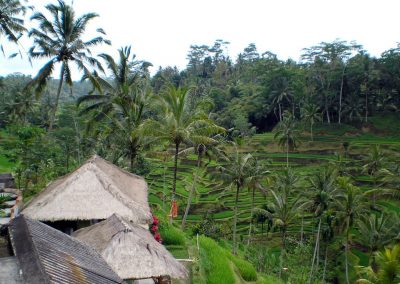 Rizières Jatiluwih Carnet de voyage à Bali