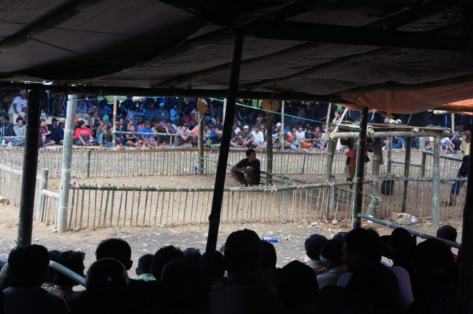 Arène de combats de coqs Sulawesi