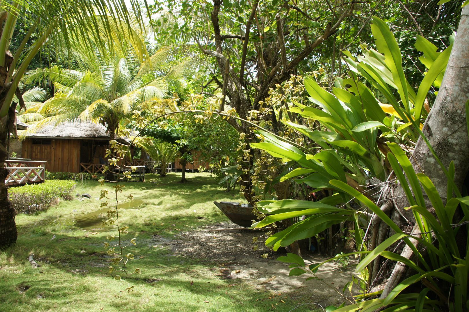 Cadre naturel Fadhila cottages Iles Togian Sulawesi