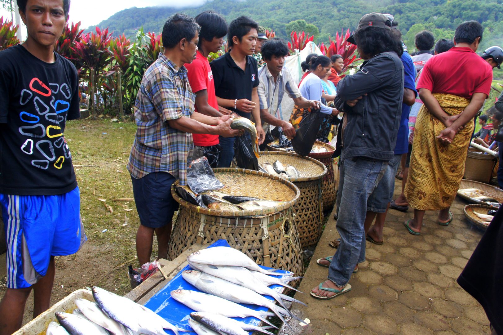 Marchands de poissons Sulawesi