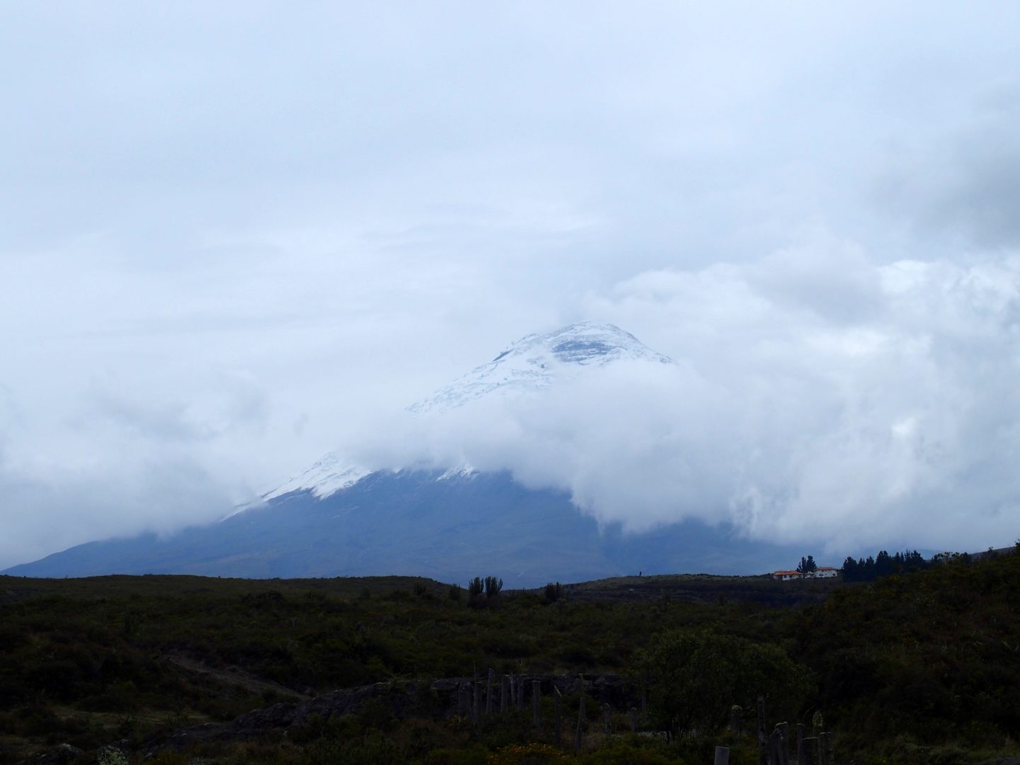 Cône enneigé du volcan Cotopaxi dans le brouillard Equateur