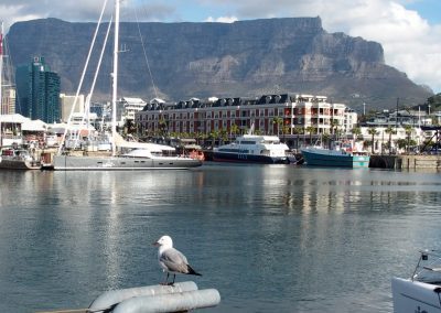 Port du Cap et Table mountain Afrique du sud