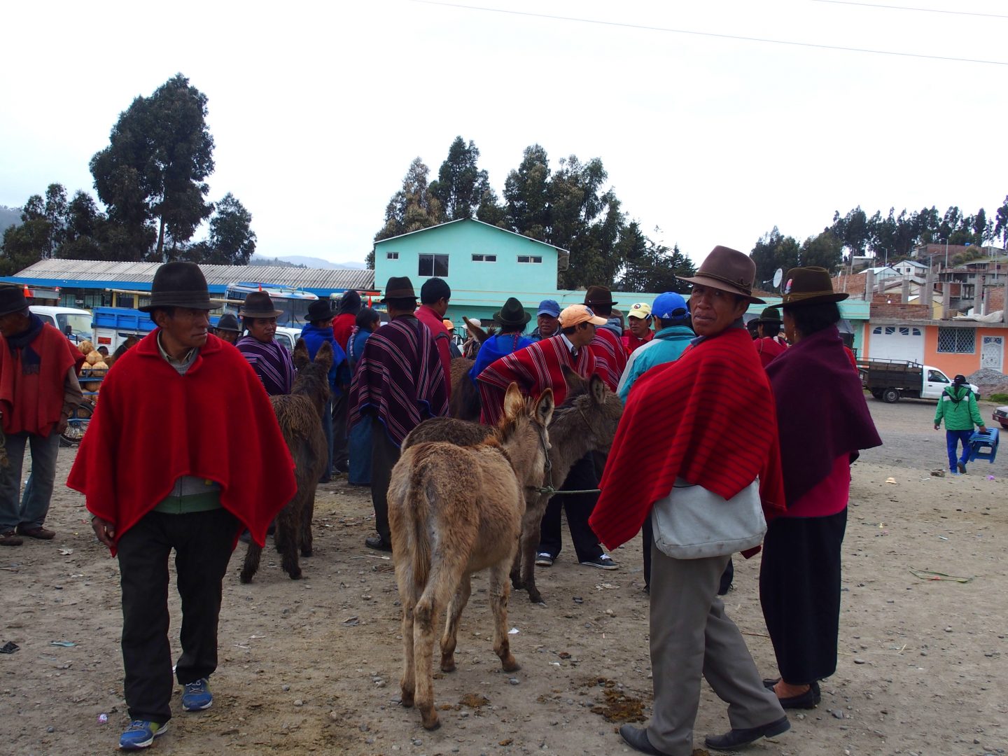 Vendeurs d'ânes sur marché de Guamote Equateur