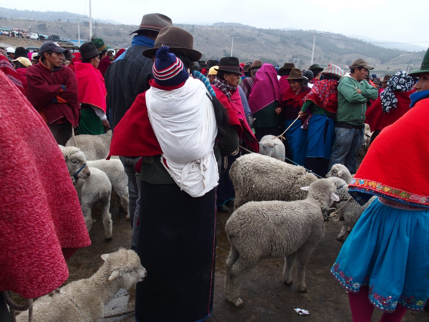 Vendeuse de moutons marché de Guamote Equateur