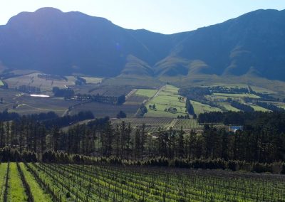 Vignobles Stellenbosch Afrique du sud