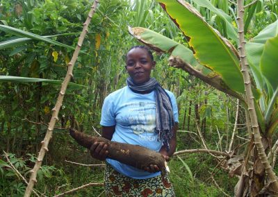 Culture du manioc Tanzanie