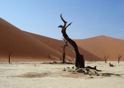 Désert salé Sossusvlei Namibie