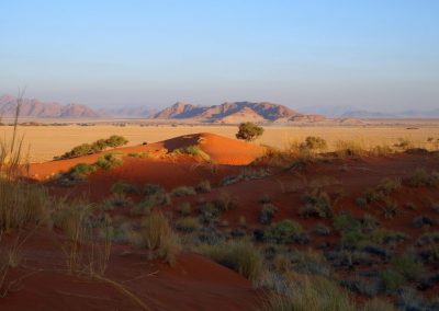 Paysage de dunes Namibie