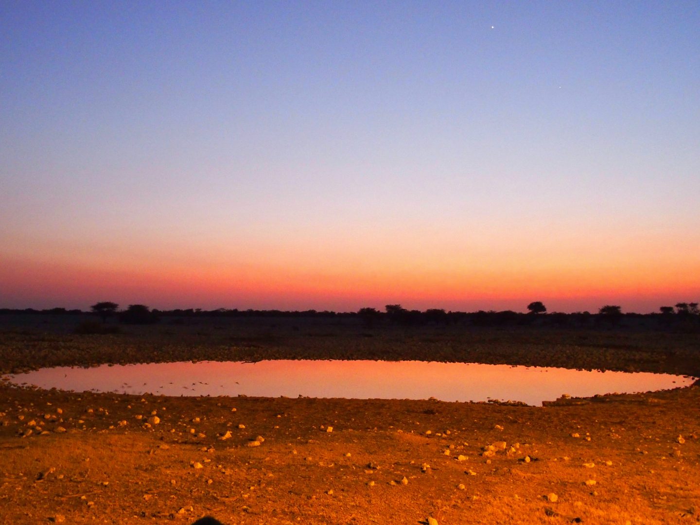 Plan d'eau Etosha le soir Namibie
