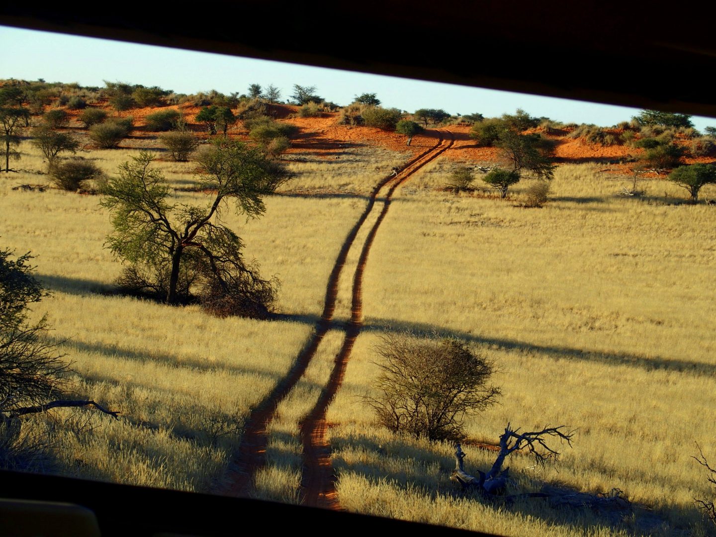 Balade dans le désert du Kalahari Namibie