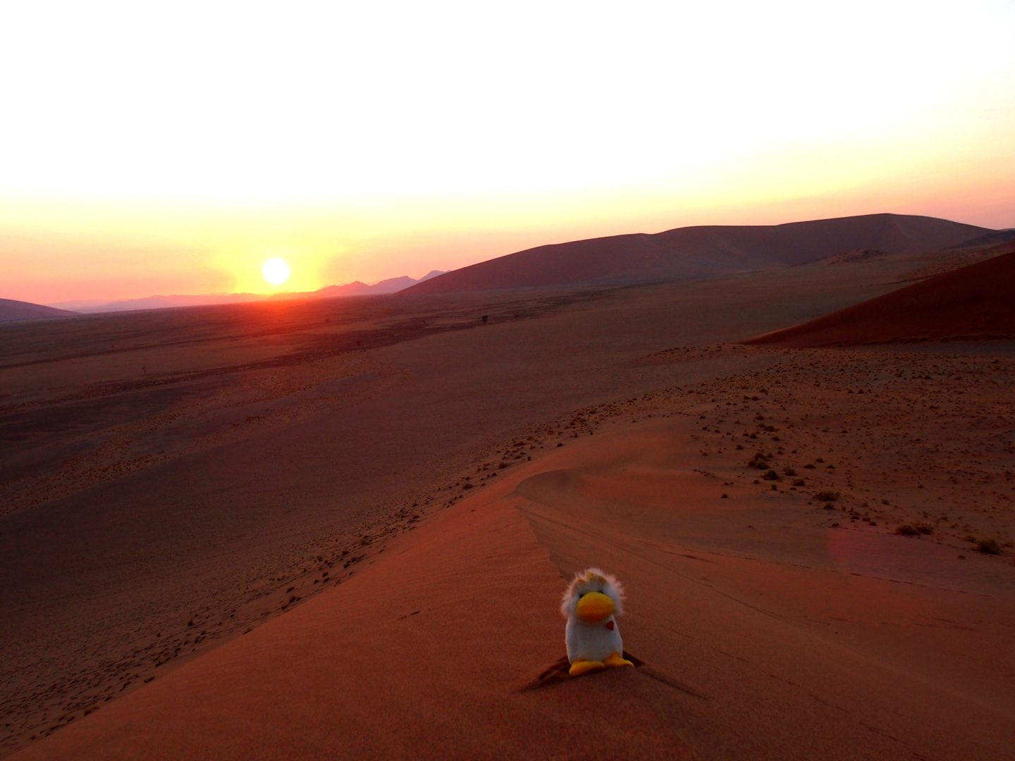 Couinn-Couinn sur la dune 45 au soleil levant Namibie