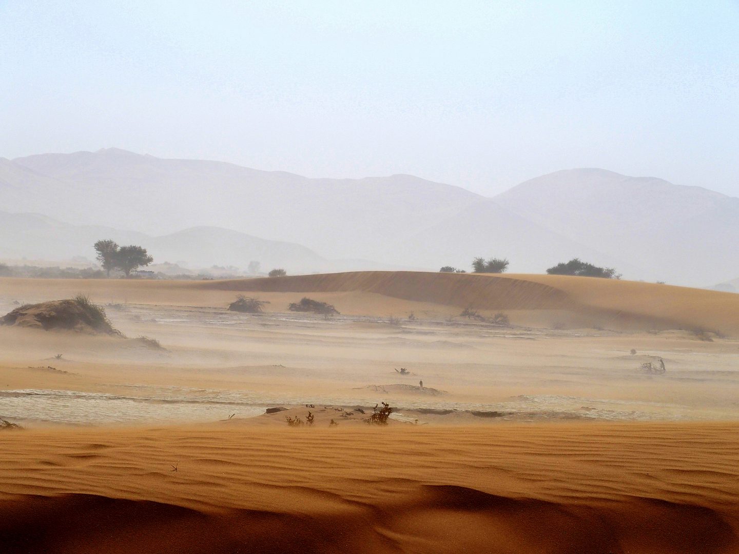 Début de tempête de sable Sossusvlei Namibie