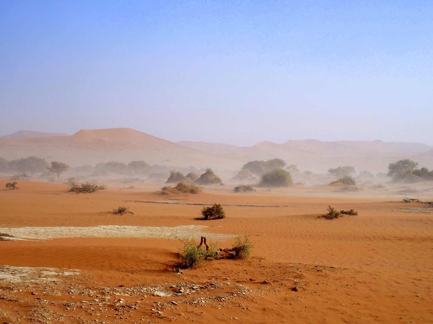Début de tempête de sable à Sossusvlei Namibie