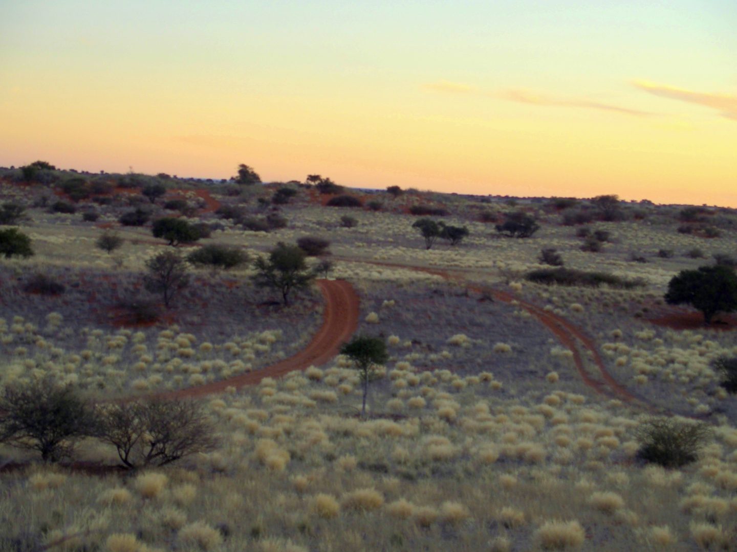 Douceur des paysages Kalahari Namibie