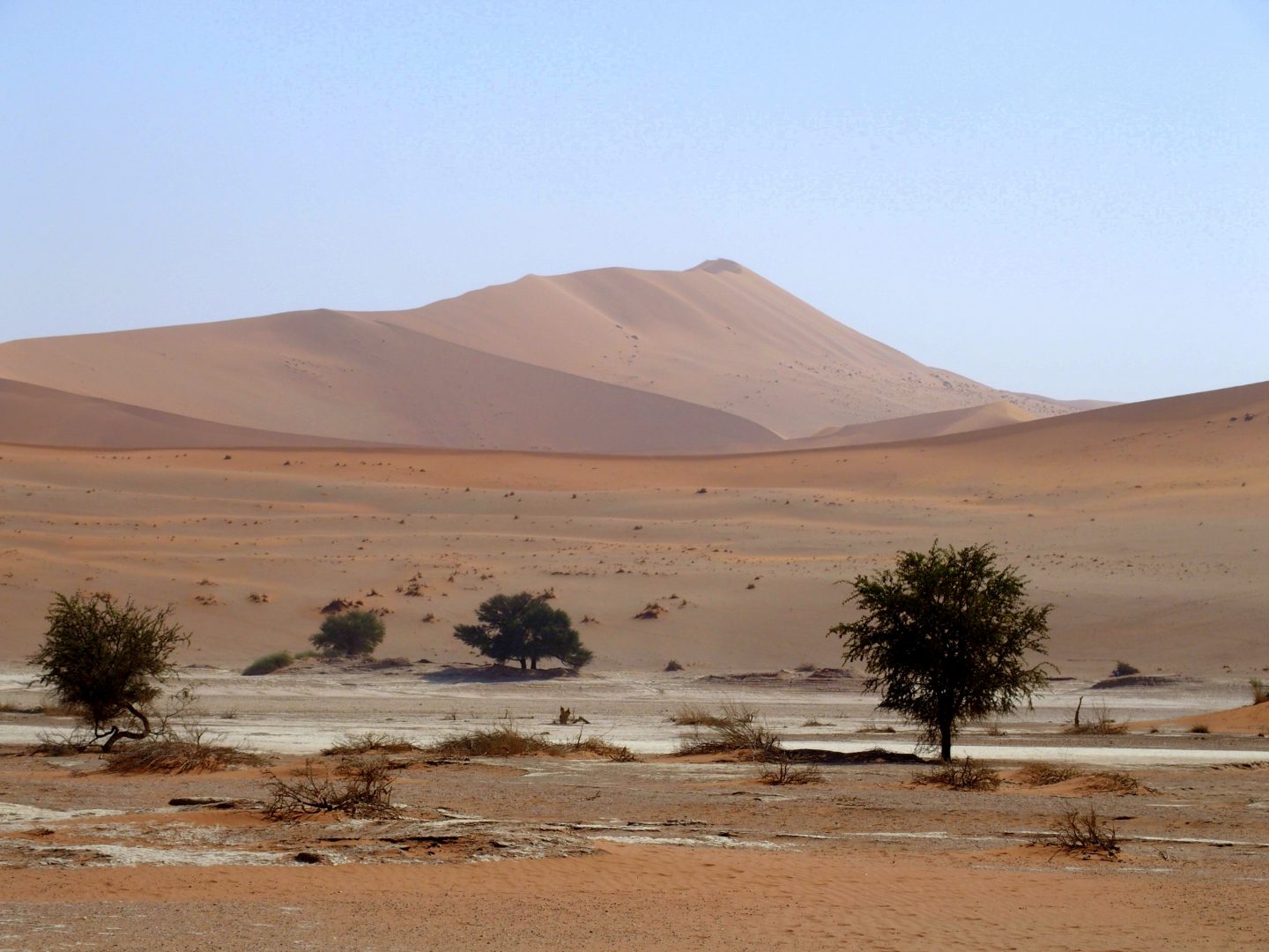 Dunes de Sossusvlei Namibie