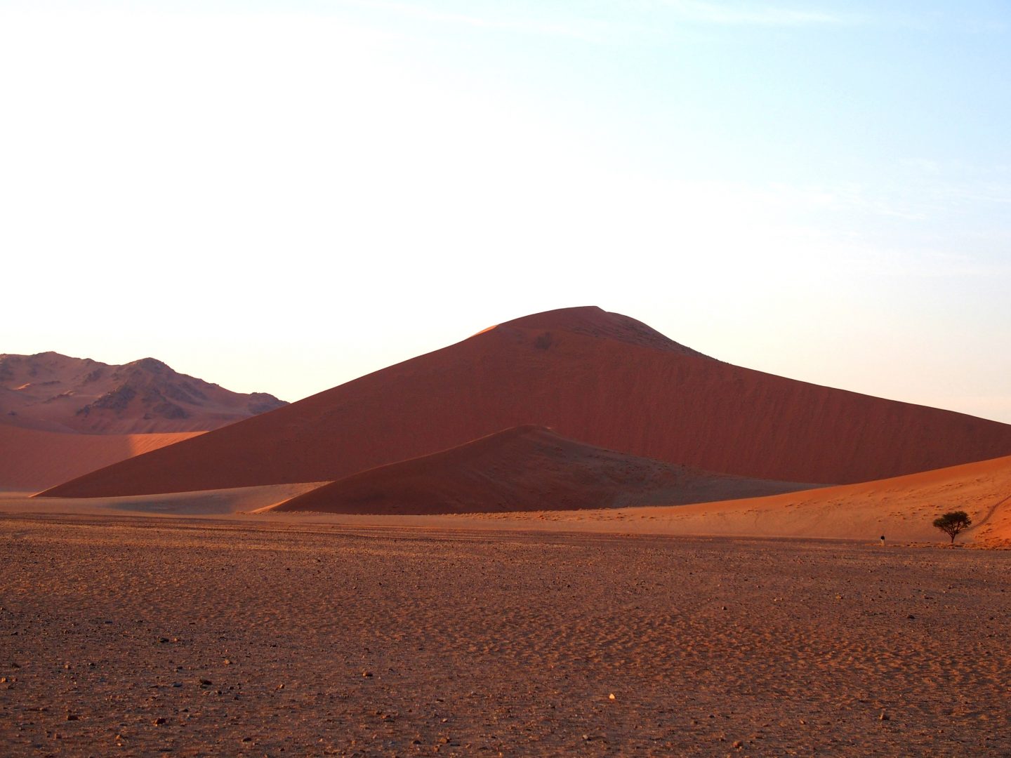 Dunes du Namib au lever du soleil Namibie