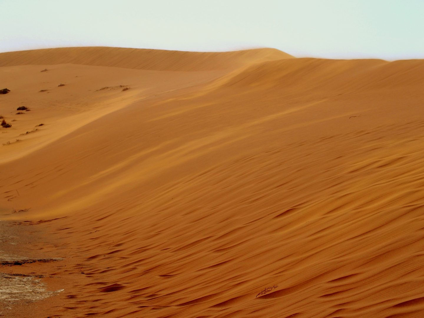 Dunes orangées Sossusvlei Namibie