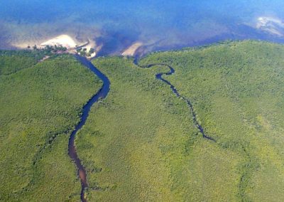 Mangroves sur la côte - Mozambique