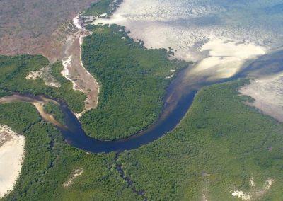 Mer et mangrove - Mozambique