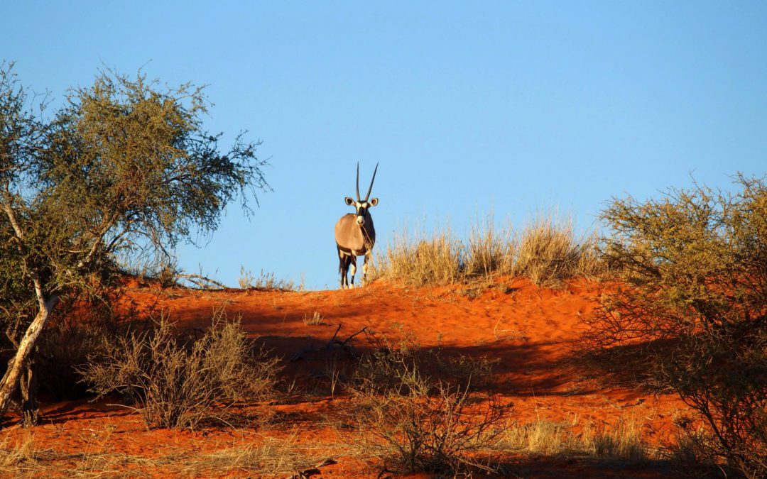 Circuit d&rsquo;une semaine dans le sud de la Namibie