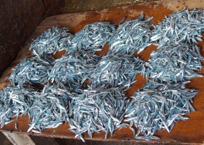 Petits poissons marché Dar es Salaam Tanzanie