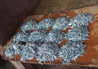 Petits poissons marché - Zanzibar