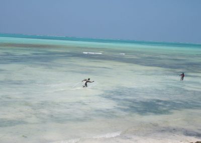 Pose de filets - Zanzibar