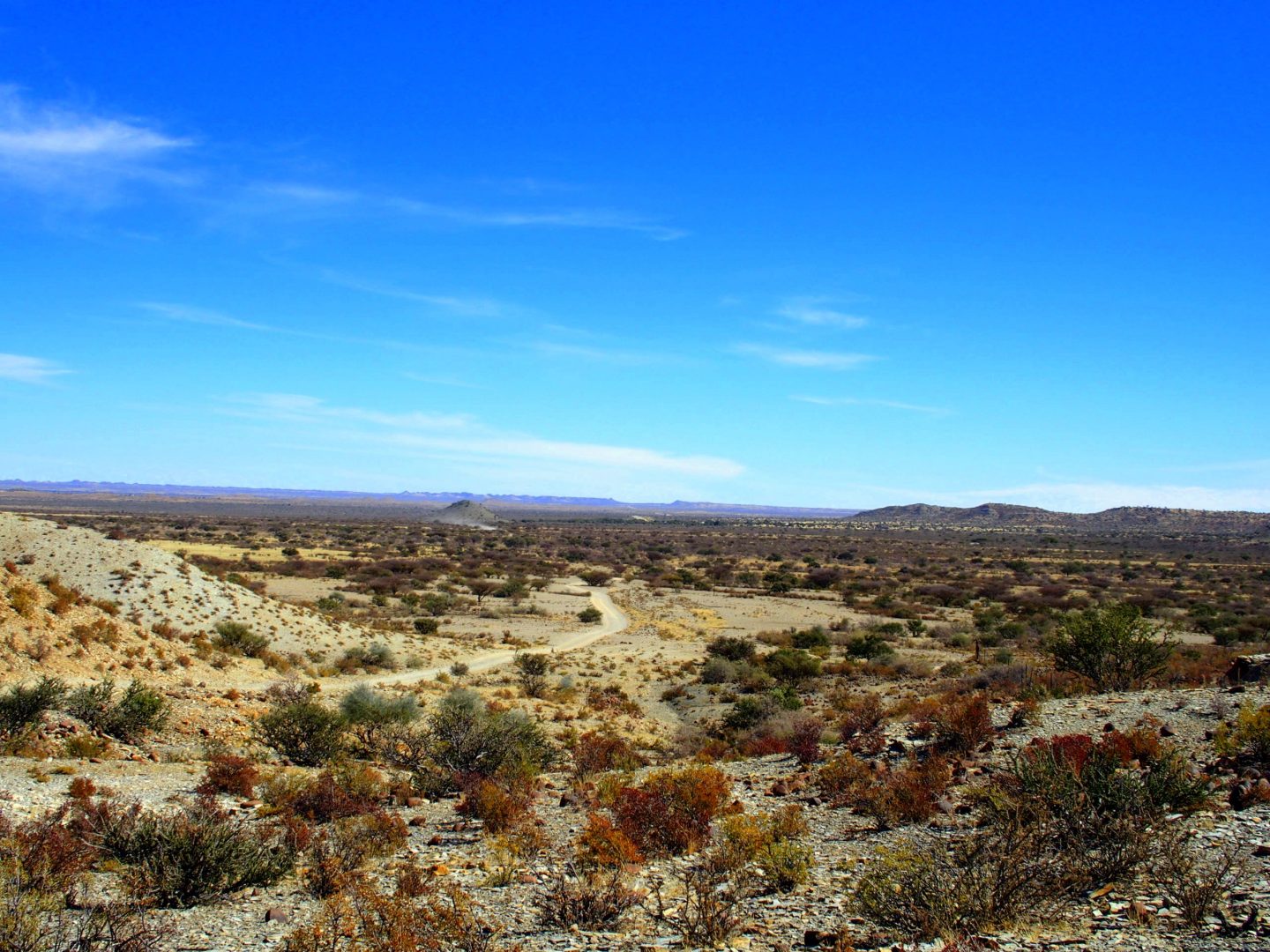 Vastes étendues du Kalahari Namibie