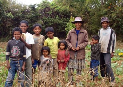 Famille Madagascar