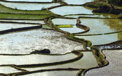 Carnet de voyage à Madagascar