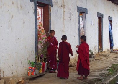 Moinillons devant leurs cellules Gangtey 11 jours au Bhoutan