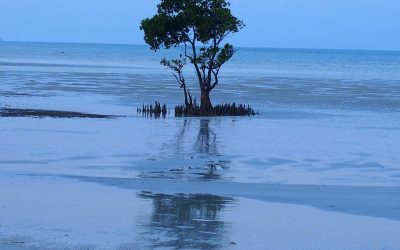 L’île d’Ibo, c’est irréel et tellement beau…