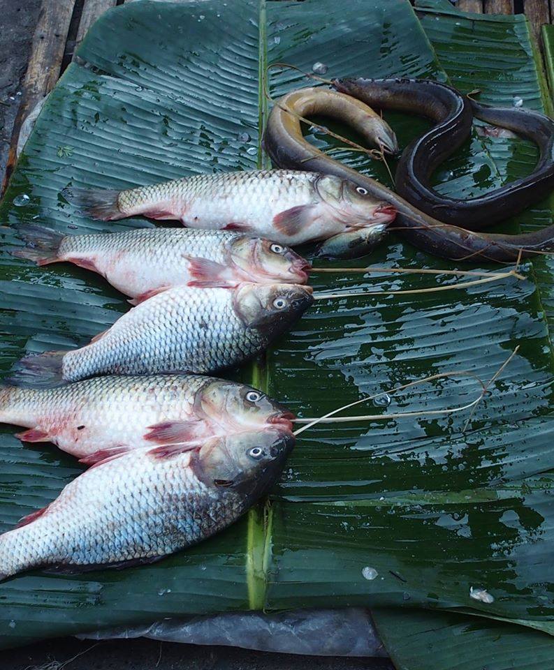 Retour de pêche en Birmanie Retour de pêche en Birmanie