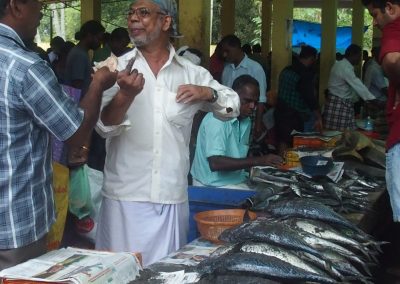 Marché aux poissons Varkala Inde