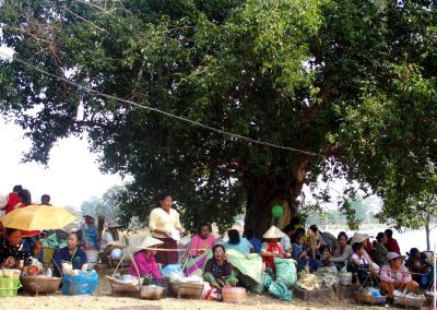 Marché sous les arbres sud-Laos