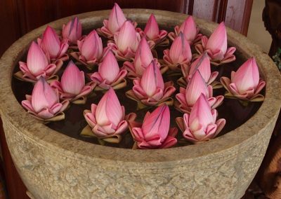 Fleurs de lotus Cambodge