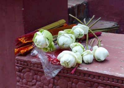 Fleurs devant temple Cambodge