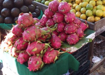 Fruits du dragon marché Equateur