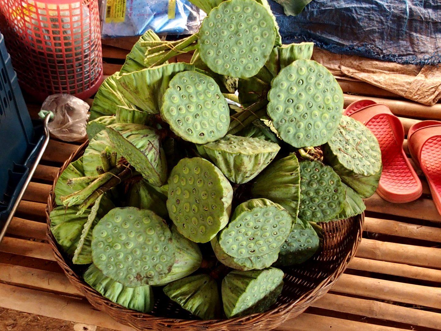 Fruits du lotus marché Cambodge