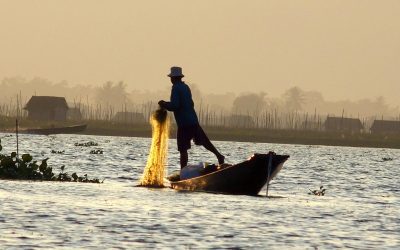 Une vie intense sur le lac Inle