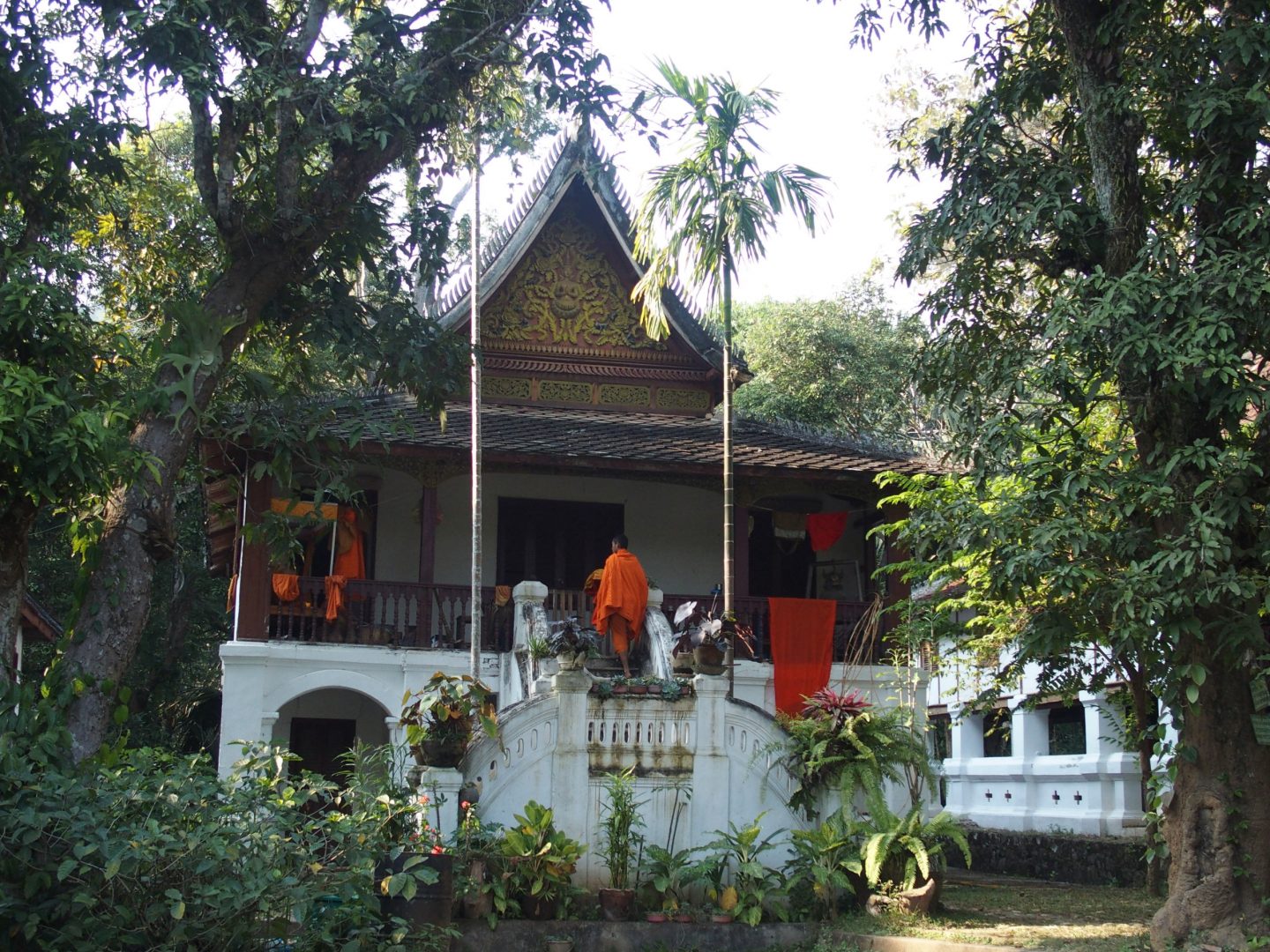 Temple caché et jeunes moines laotiens