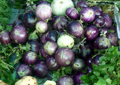 Aubergines Cambodge