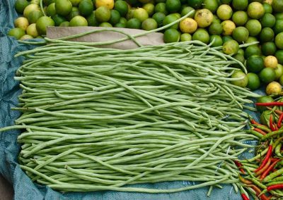 Haricots au kilomètre Cambodge