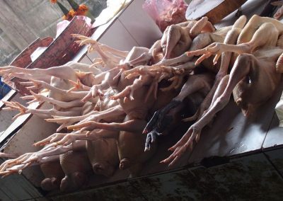 Poulets du marché Cambodge