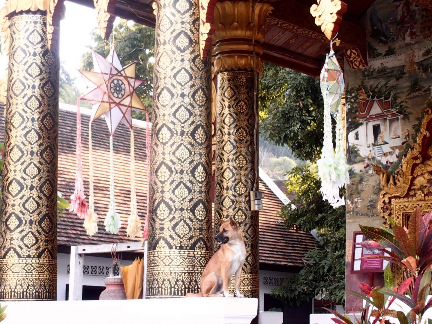 Entrée temple Vat Phonxay Sanasongkham Luang Prabang Laos